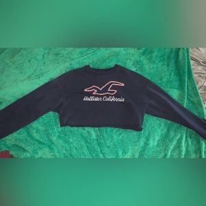 blue hollister logo crop top